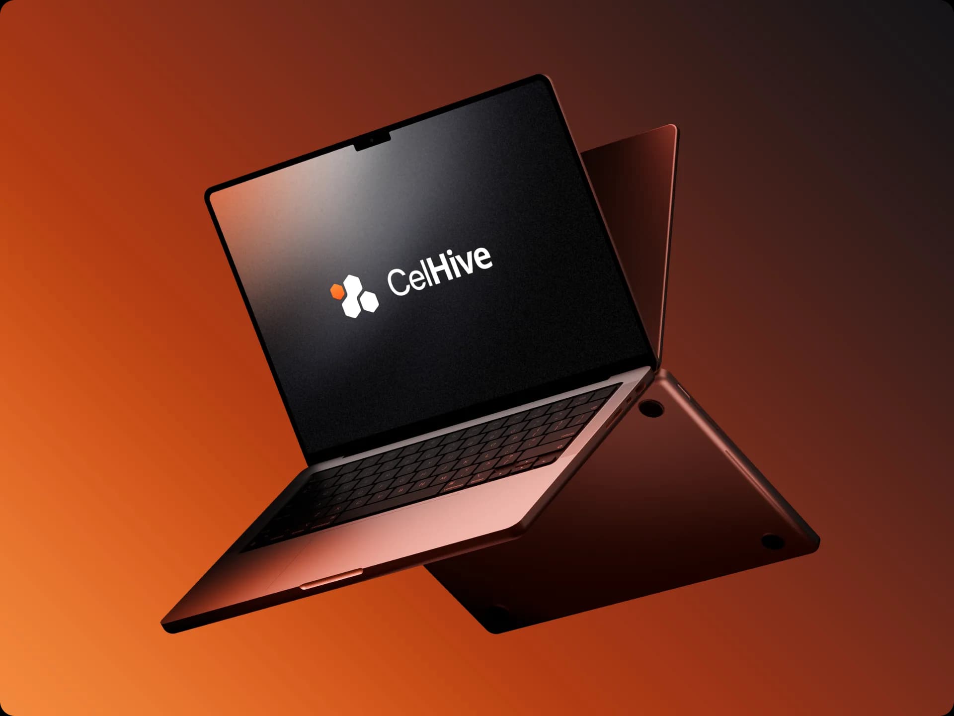 CelHive showcase — plate 01